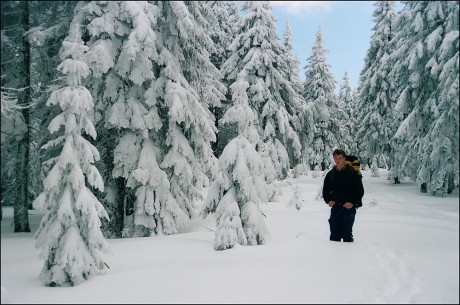 Na hraničním hřebeni mezi Plechým a Smrčinou.