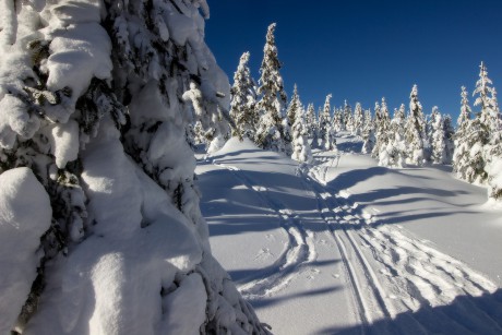 19. 1. 2019. Cestou na Oblík.