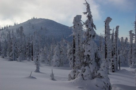21. 1. 2019. Teď už mám téměř celou cestu na Luzný za sebou. Tedy tam. Pak mě ještě čeká to samé zpátky.