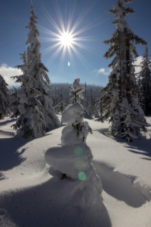 21. 1. 2019. Podobné počasí mě vyloženě svědčí.