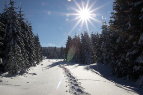 21. 1. 2019. Po náročném víkendu jsem se zpátky už docela těšil. Dnešní procházky bylo tak akorát.