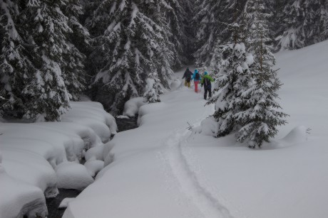 26. 1. 2019. Nevýrazný Filipohuťský potok.
