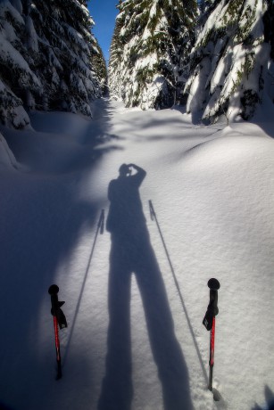 6. 2. 2019. Ve spodní části Horní dámské cesty ze Železné Rudy k Juránkově chatě.
