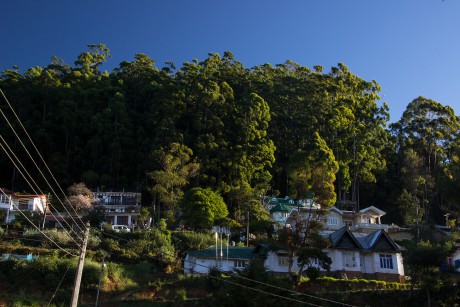 Nad námi je ve vzdálenosti necelých 2.600 metrů nejvyšší vrchol Srí Lanky Pidurutalagala vysoký 2.534 metrů.