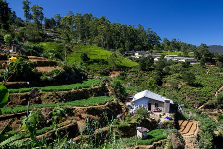 Skvělé počasí prozařuje vyjímečnou krajinu.