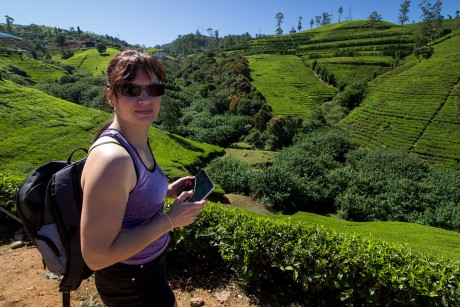 Nad čajovými plantážemi Damro Tea.