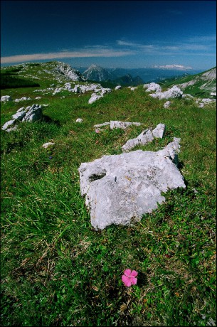 V pozadí vyčnívají Grimming s Dachsteinem.