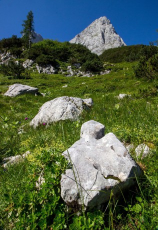 Cesta Gosaukammem za takového počasí prostě nemůže zklamat.