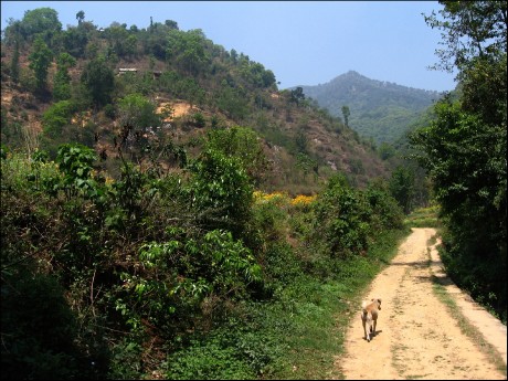 Cestou do Narayanathanu.