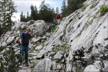 Cesta skrz pohoří v první části, která nás protáhla lesními porosty.