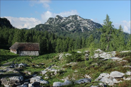 Pohled zpátky k západu od chaty Albert Appel.