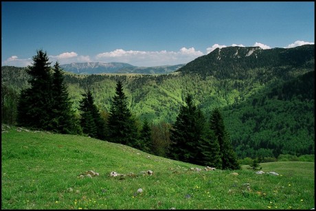Pohled z Javoriny - 1.338 m n. m. na Kozí hřbety Nízkých tater v pozadí a Černý kámen - 1.479 m n. m. v popředí.
