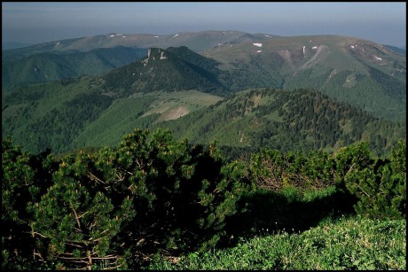 Výhled z vrcholu Rakytova na kus Velké Fatry s Ploskou, Ostredokom, Križnou, Suchým vrchem a Černým kamenem.
