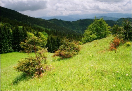 Pohled z Hjadelského sedla na jih do Hjadelského údolí.